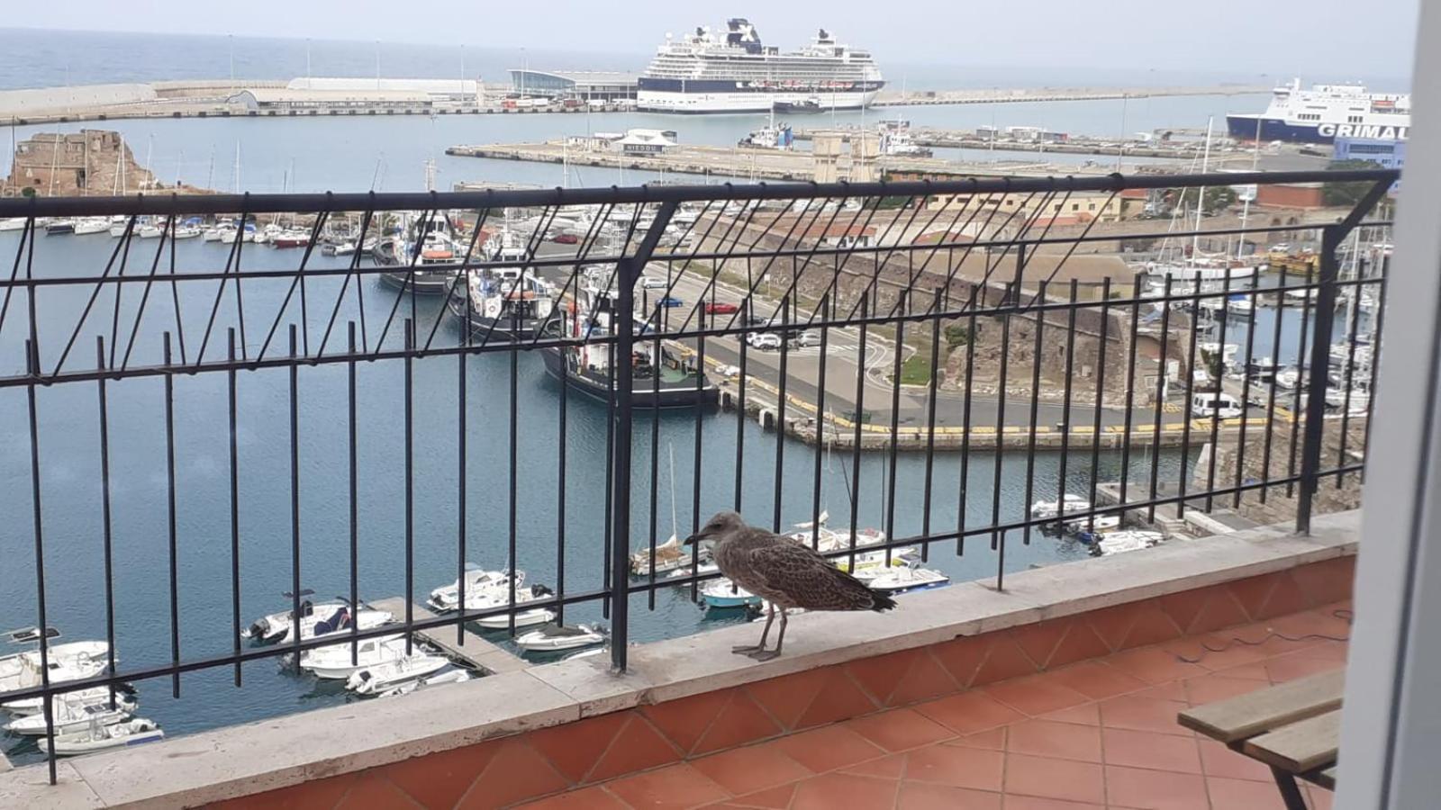 Mare Fuori Apartment Civitavecchia Exterior foto